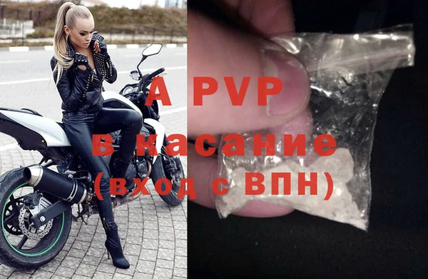 прущие крисы Магас