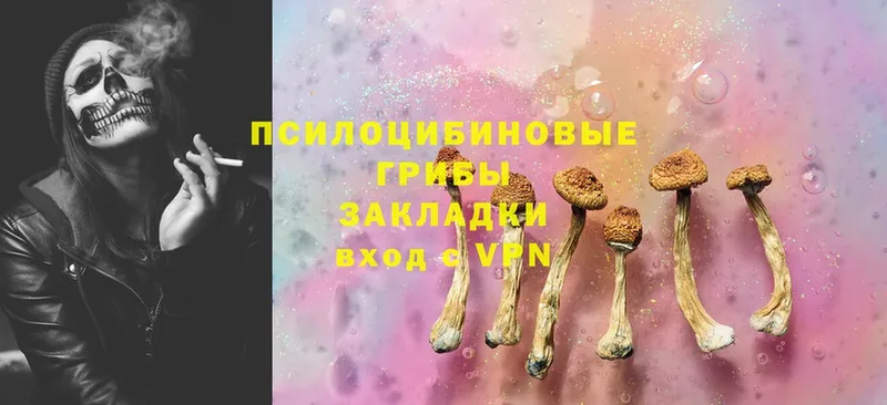 Галлюциногенные грибы Cubensis  Белая Калитва 