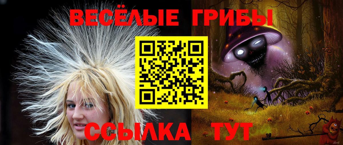Галлюциногенные грибы MAGIC MUSHROOMS Белая Калитва