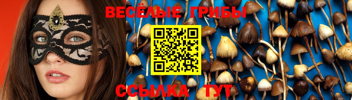 Галлюциногенные грибы Psilocybe  Вход с VPN  Белая Калитва 