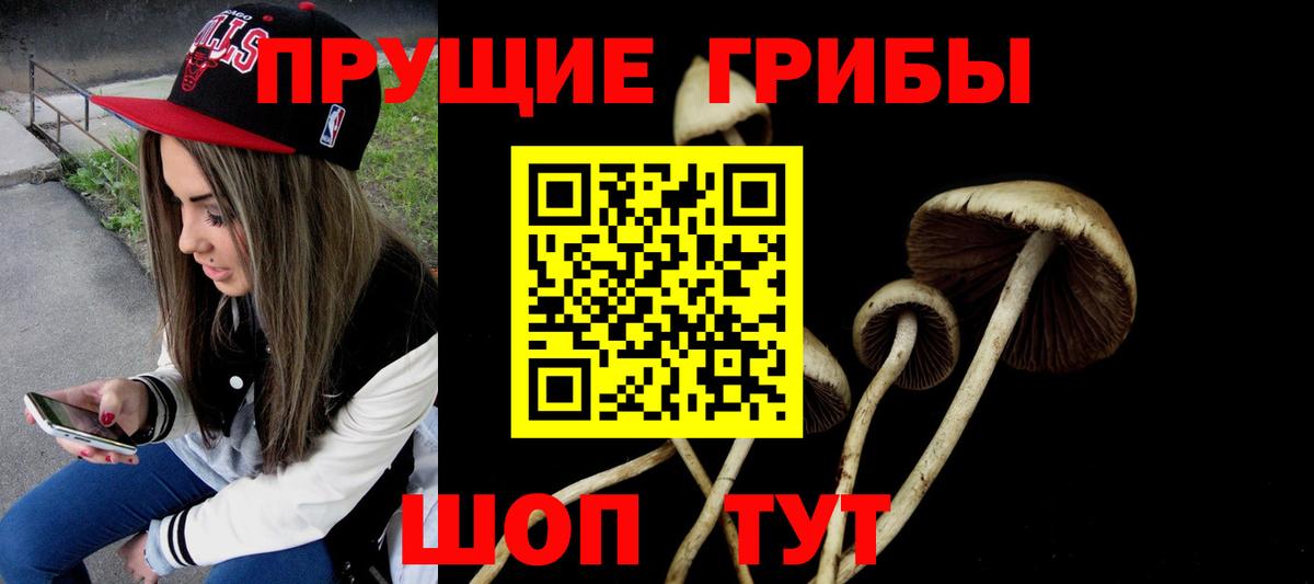 Псилоцибиновые грибы мухоморы  Белая Калитва  Галлюциногенные грибы Magic Shrooms 